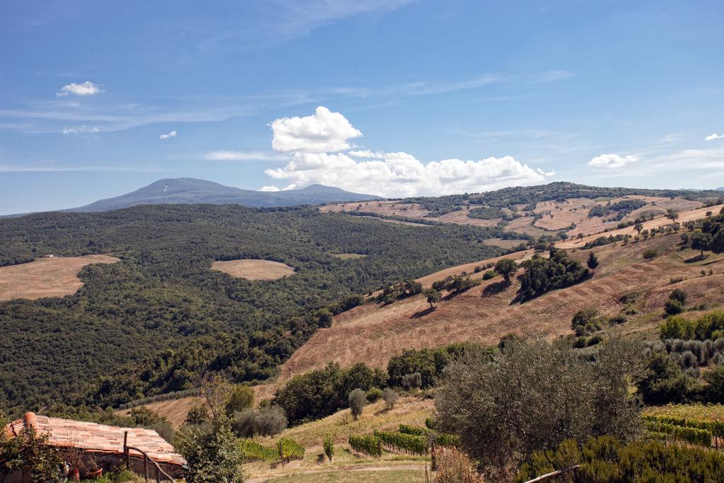 Podere Casella Villa Castiglione dʼOrcia Buitenkant foto